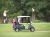 Image for Annual Fund Raising Golf Tournament